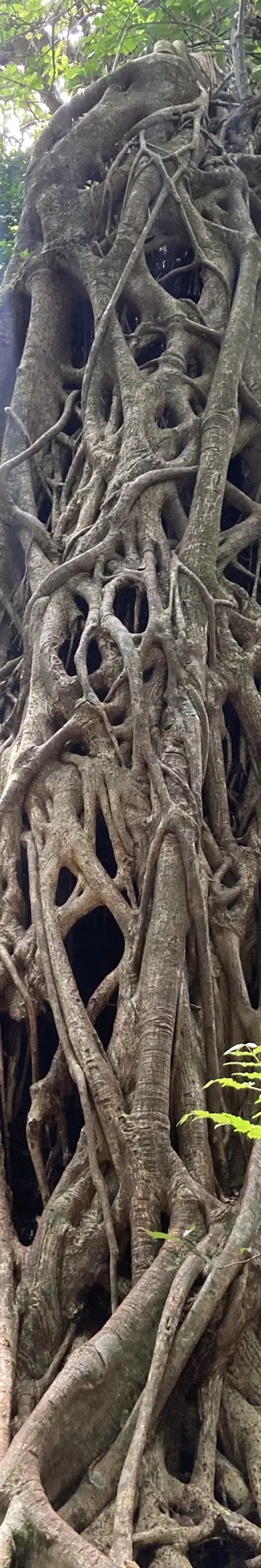 Rincon de la Vieja zum Vierten